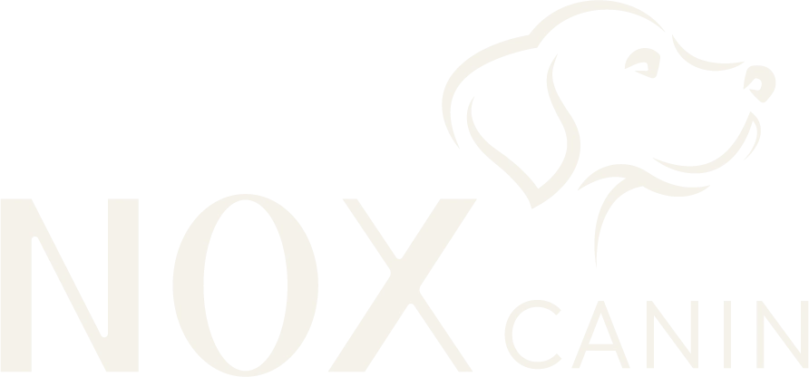 création de site vitrine garderie canine