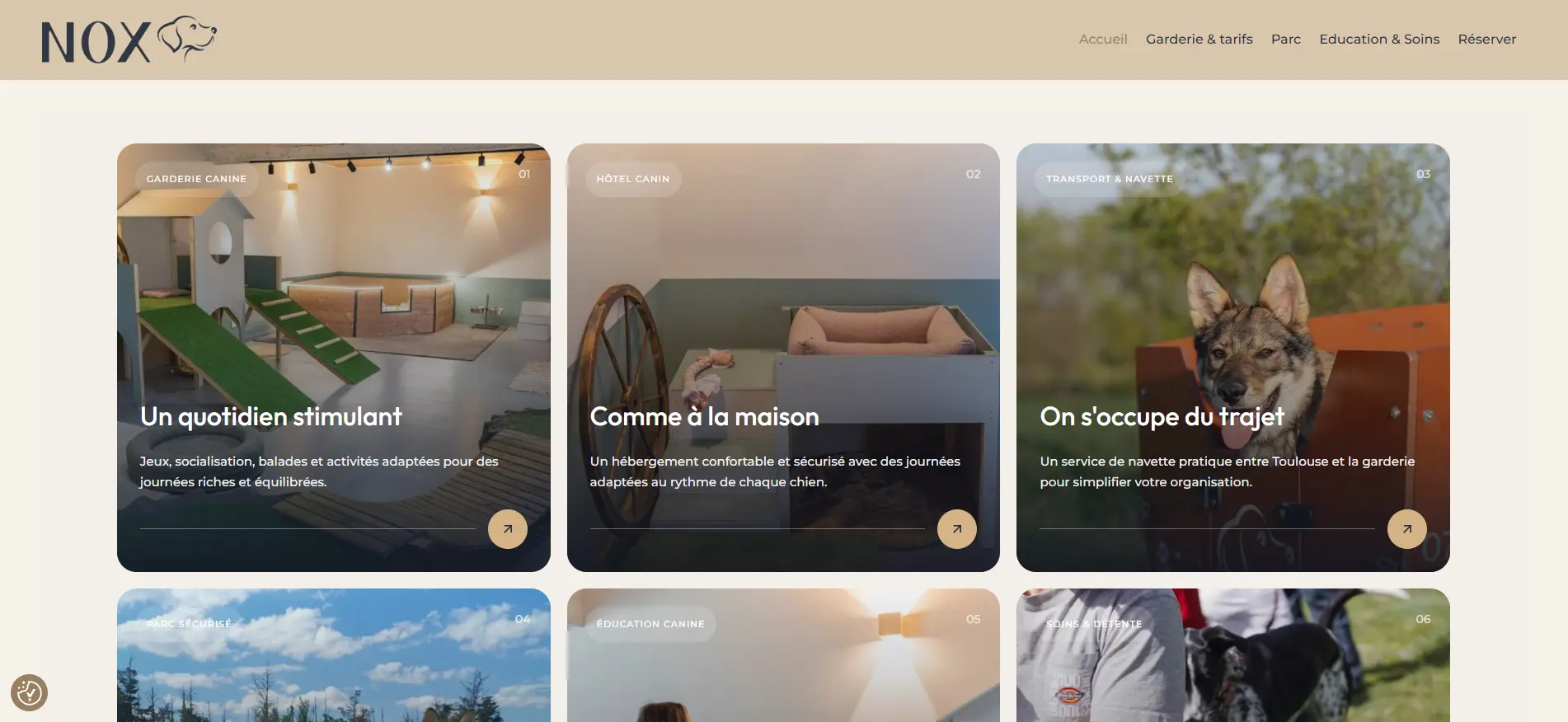 Création de site internet pour garderie canine